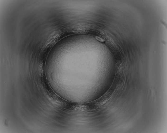 X0000091290599200708241031