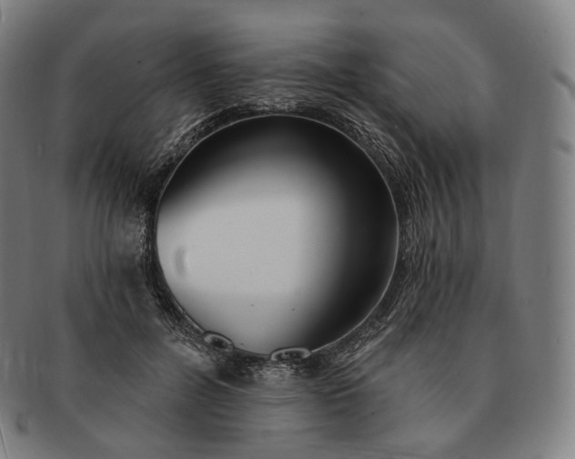 X0000091290600200708241031