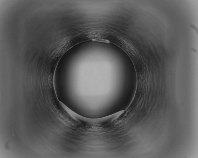 X0000091290601200708241031