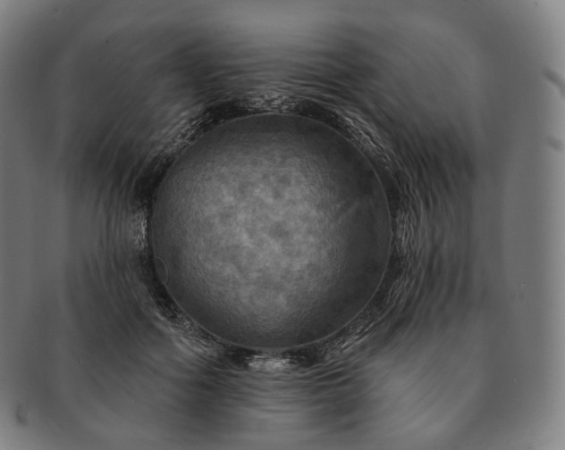 X0000091290602200708241031