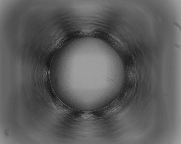 X0000091290603200708241030