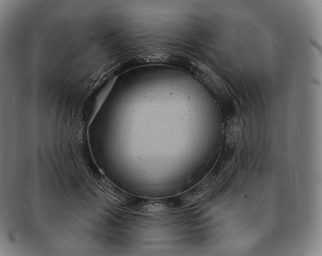 X0000091290604200708241030