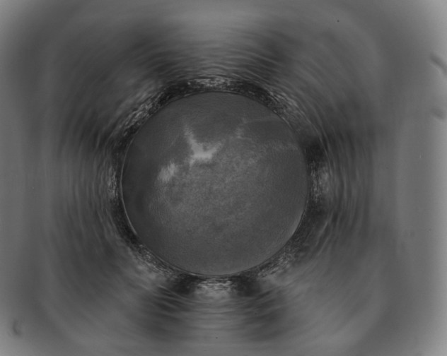 X0000091290606200708241030