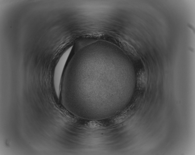 X0000091290608200708241030