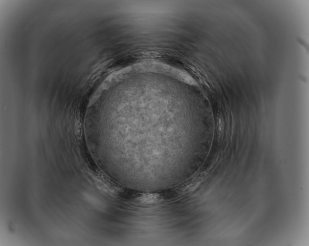 X0000091290609200708241030