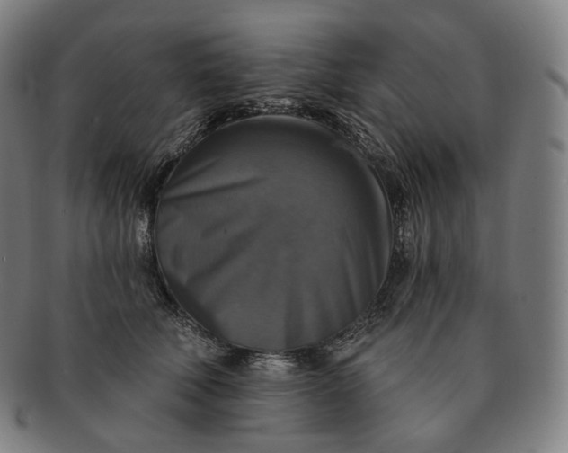 X0000091290610200708241030