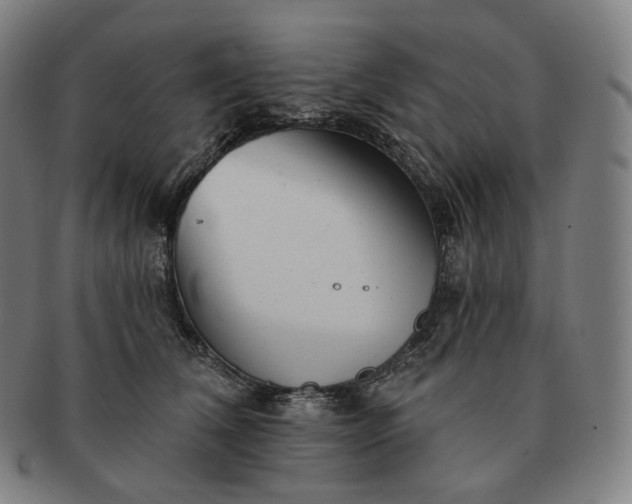 X0000091290612200708241030