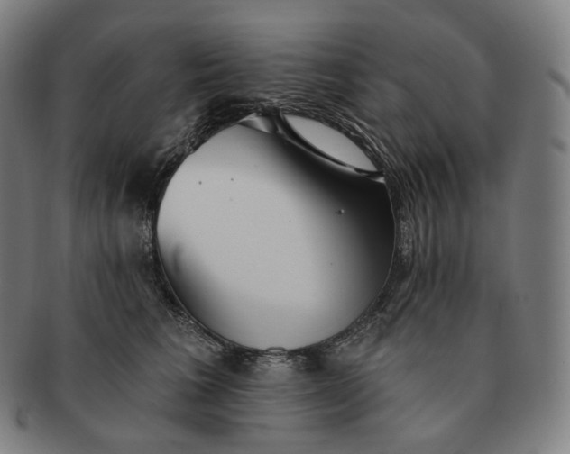 X0000091290613200708241030