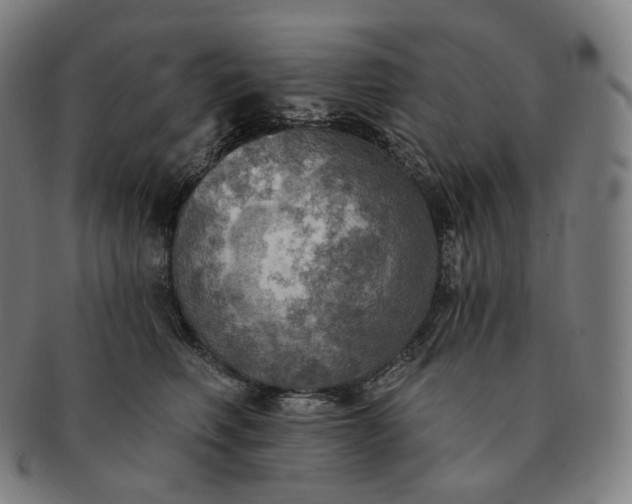 X0000091290614200708241030