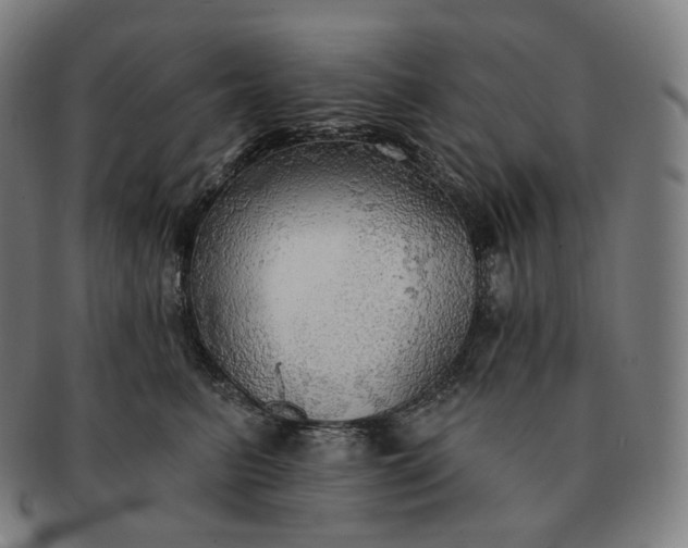 X0000091290615200708241030