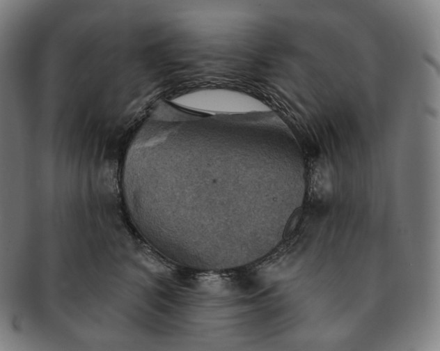 X0000091290616200708241030