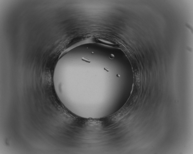 X0000091290617200708241030