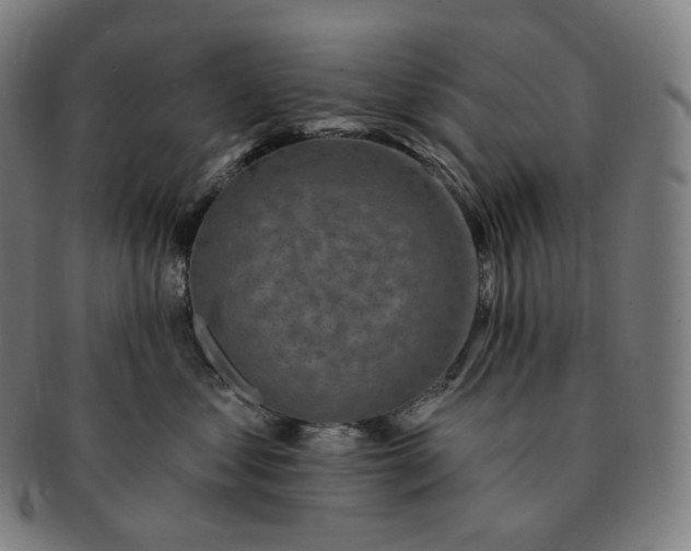 X0000091290621200708241030