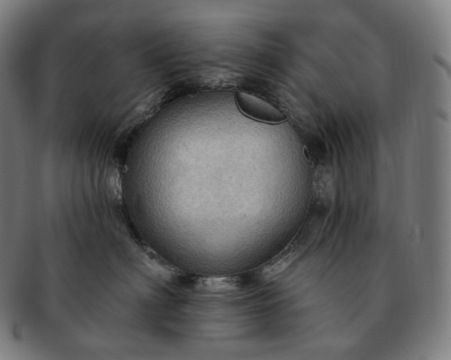 X0000091290622200708241030