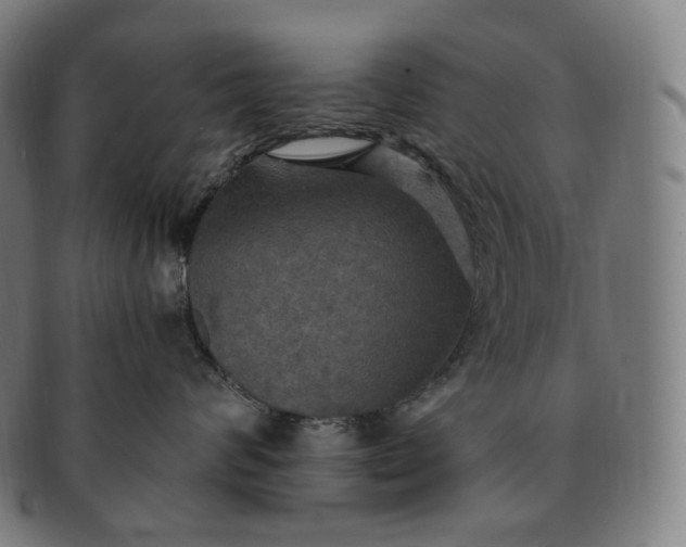 X0000091290624200708241030