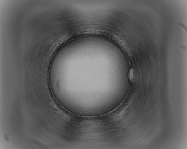 X0000091290625200708241030