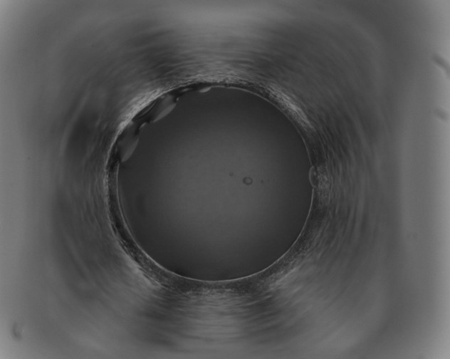 X0000091290626200708241030