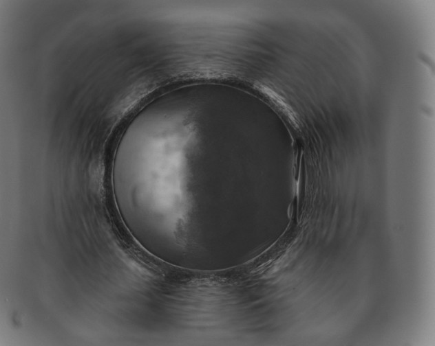 X0000091290627200708241030