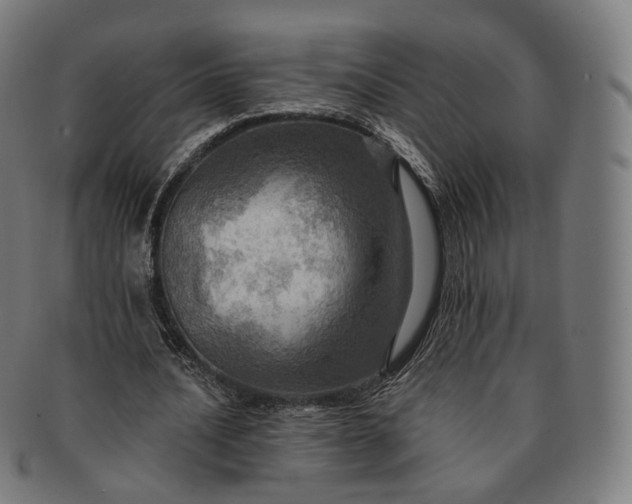 X0000091290628200708241030