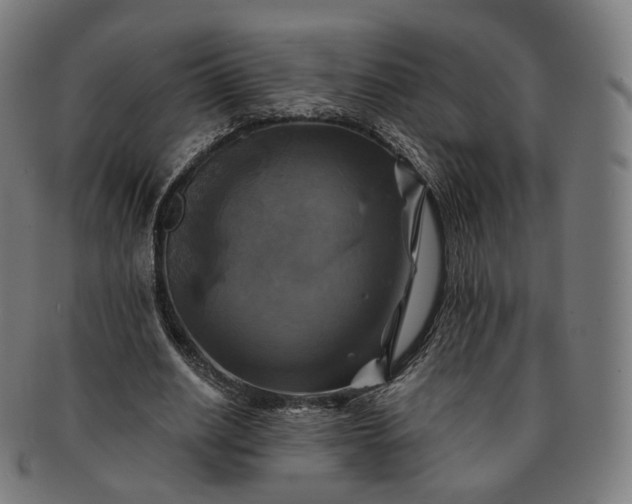 X0000091290630200708241030