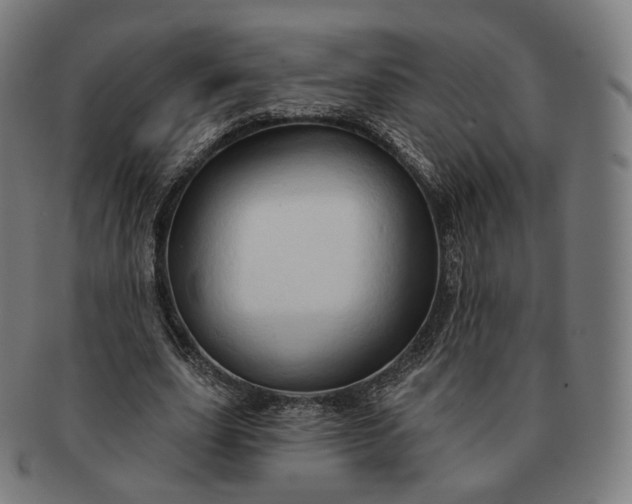 X0000091290631200708241030