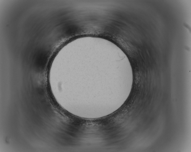 X0000091290632200708241030