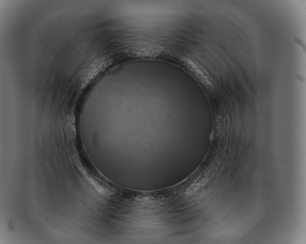 X0000091290634200708241030