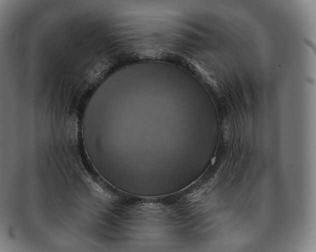 X0000091290637200708241030