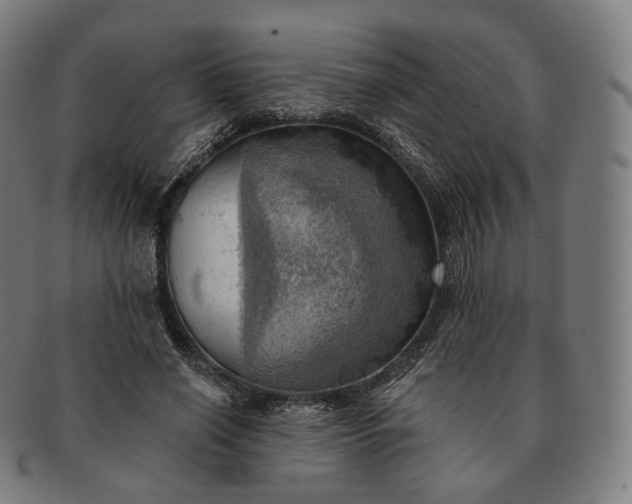 X0000091290638200708241030