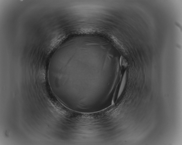 X0000091290640200708241030