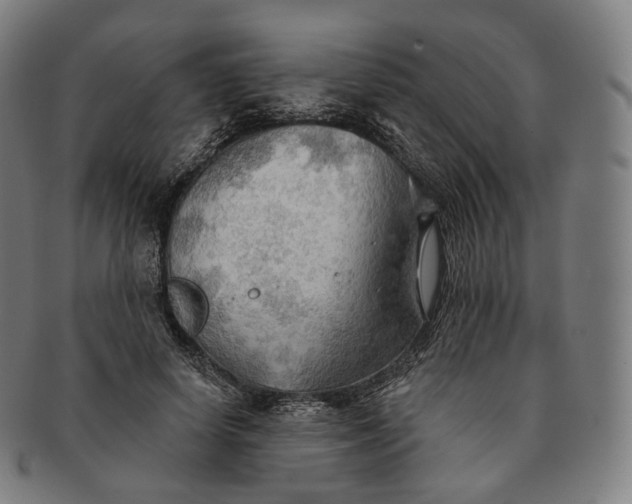 X0000091290642200708241030