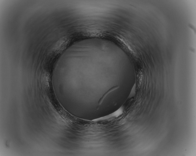 X0000091290643200708241030