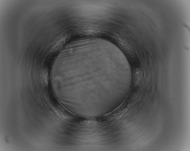 X0000091290644200708241030