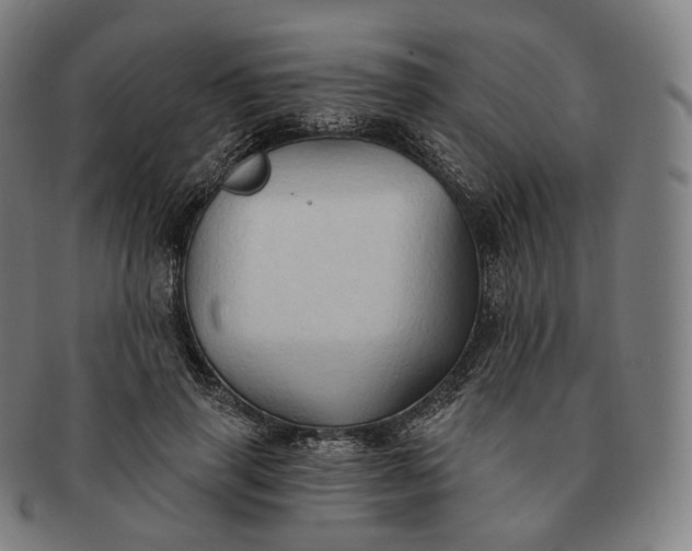 X0000091290645200708241030