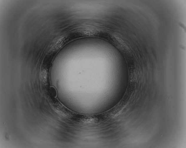 X0000091290646200708241030