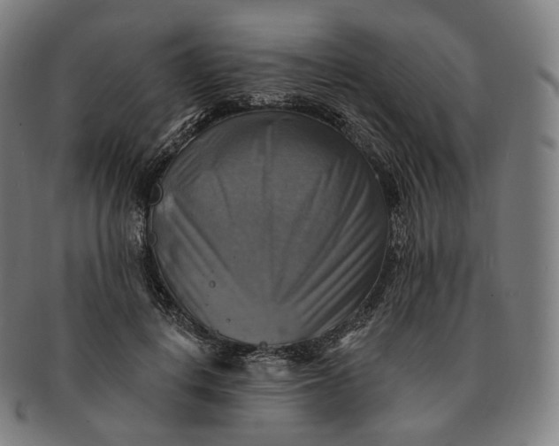 X0000091290648200708241030