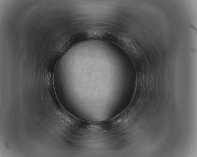 X0000091290649200708241030