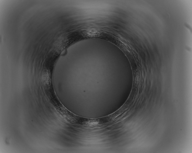 X0000091290651200708241030