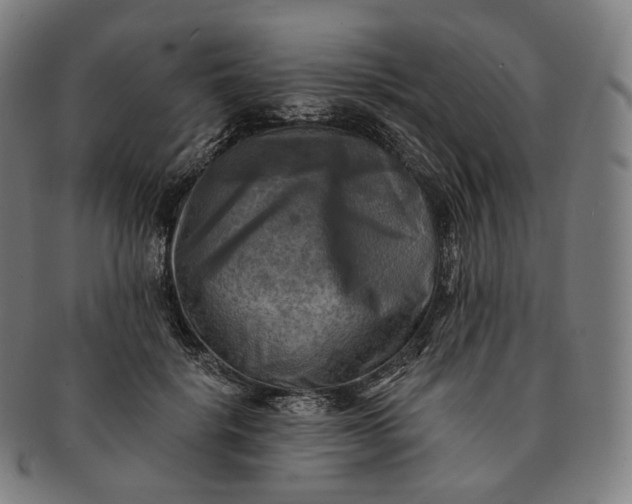 X0000091290652200708241030