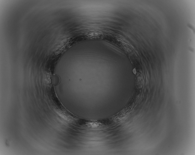 X0000091290654200708241030