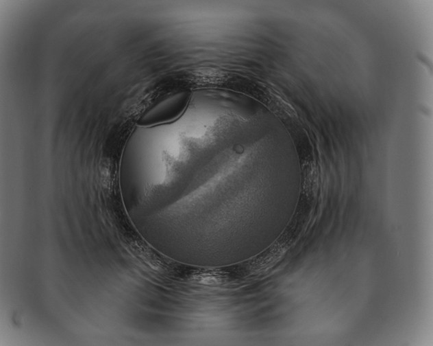 X0000091290655200708241030