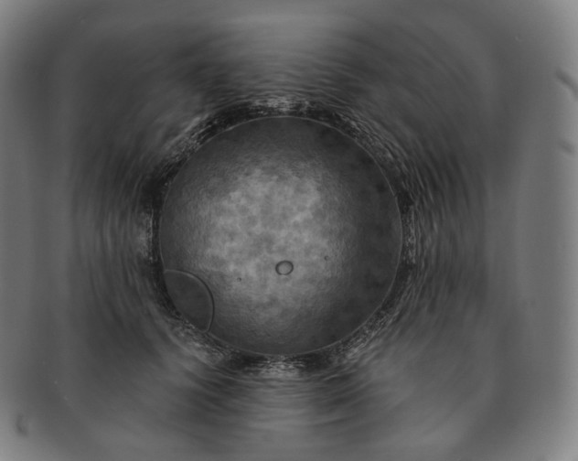 X0000091290656200708241030