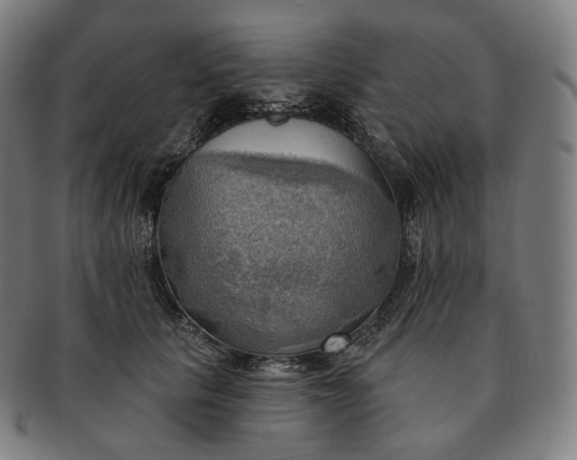 X0000091290657200708241030