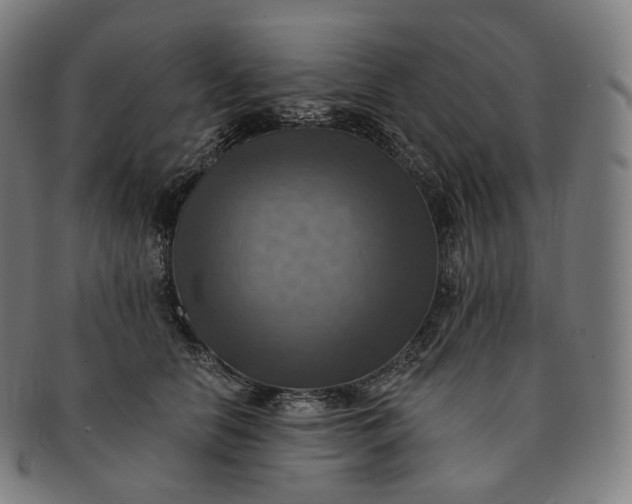 X0000091290658200708241030