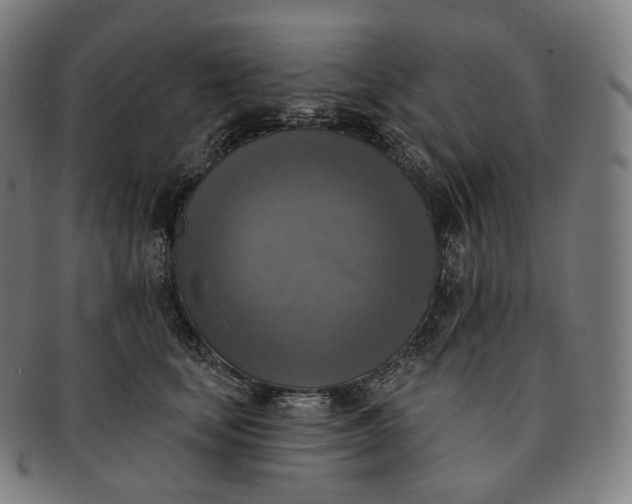 X0000091290659200708241030