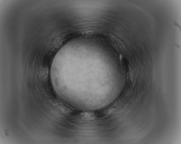 X0000091290660200708241030