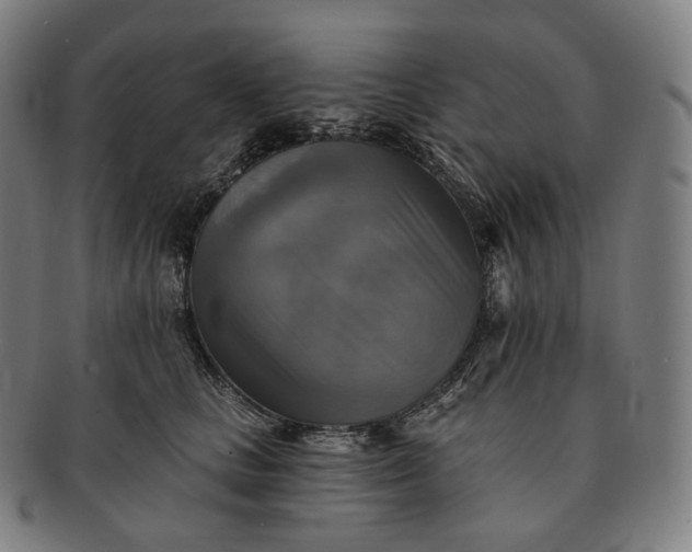 X0000091290661200708241030