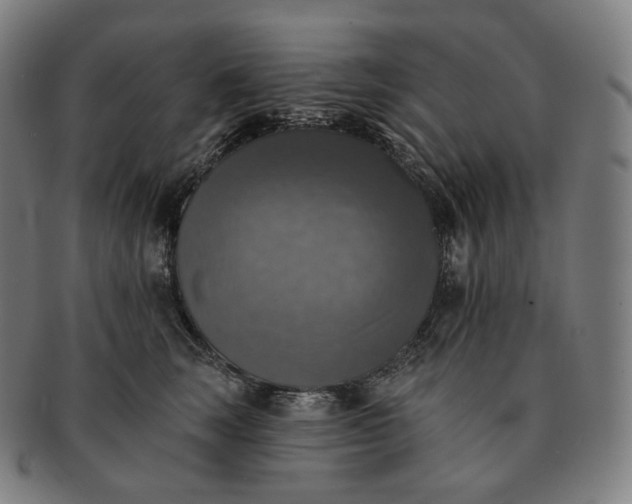 X0000091290663200708241030