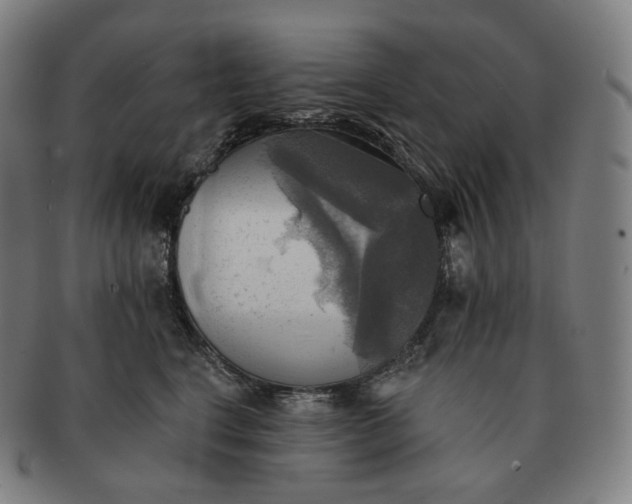 X0000091290664200708241030