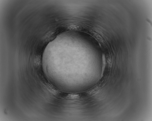 X0000091290665200708241030